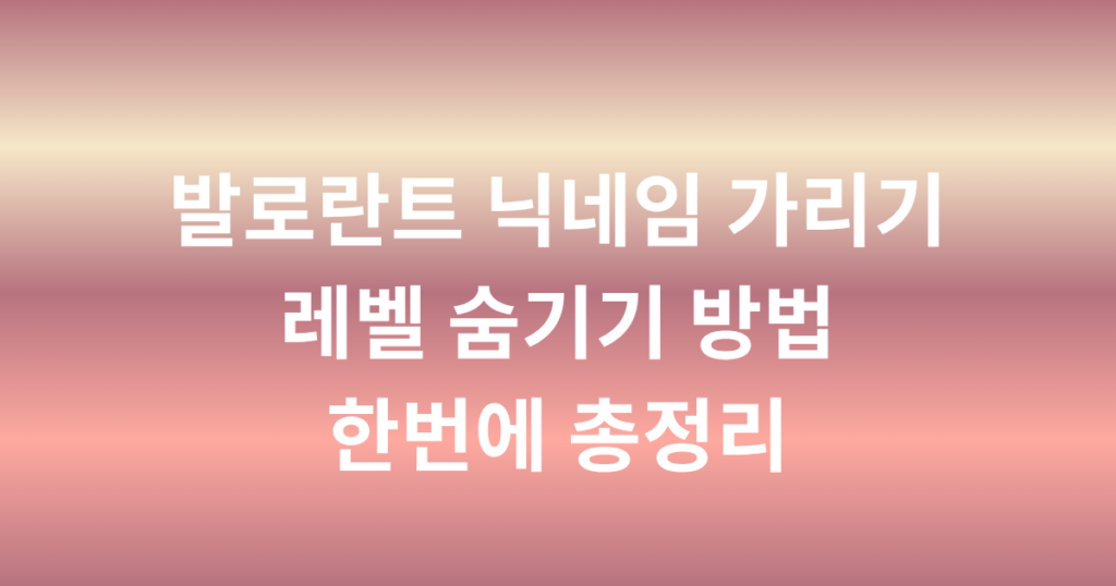 발로란트 닉네임 가리기, 레벨 숨기기 방법 한번에 총정리